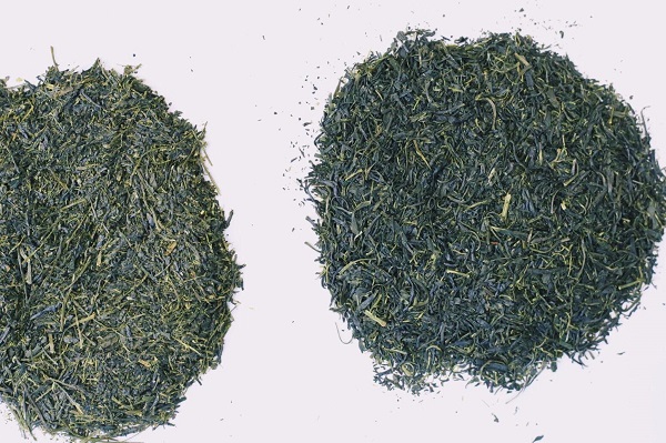 最大95%OFFクーポン 新茶です 特選 嬉野茶 600g 大容量 緑茶